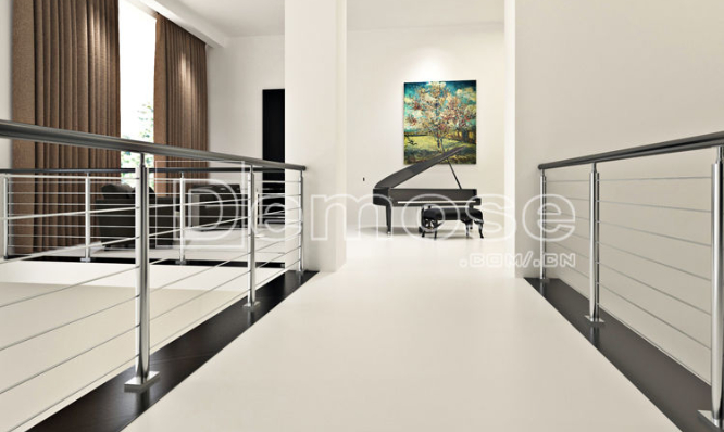 Stainless steel railing pictruce case of DEMOSE Stainless steel railing